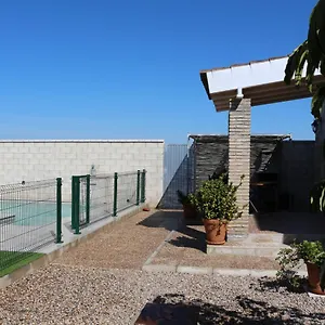 Mirlo , Conil De La Frontera España